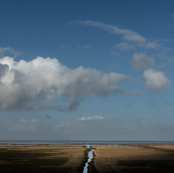 Salt marsh in northern Groningen (square version) by Bo Scheeringa Photography