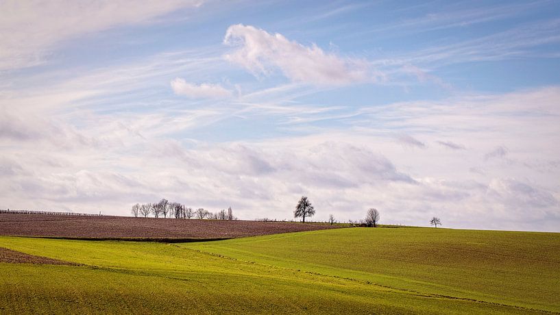 Fields @ Wijlre by Rob Boon