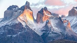Torres del Paine von Gunter Nuyts
