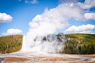 La nature dans le parc national de Yellowstone par Nicole Geerinck Aperçu