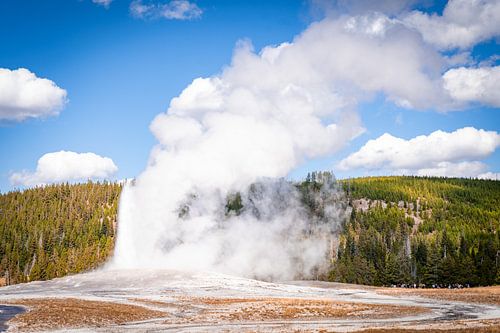 Natuur in Yellowstone National Park