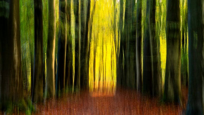 Lichttempel von Peter Smeekens