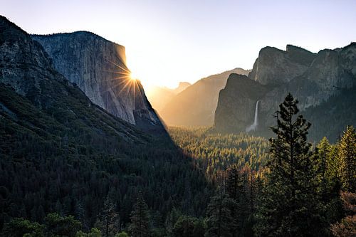 Yosemite Valley bij zonsopgang van Thomas Klinder