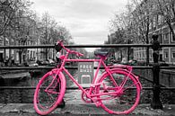 Das Fahrrad in Amsterdam von Brian Morgan Miniaturansicht