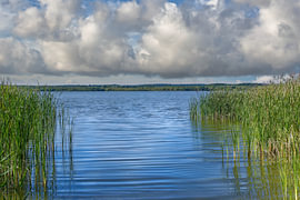 au bord du lac Zierker, près de Neustrelitz, dans la région des lacs de Mecklembourg, en Allemagne