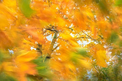 Herfstsfeer