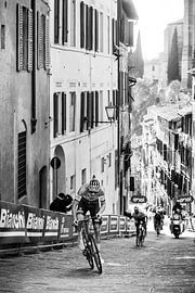 Mathieu van der Poel wint de Strade Bianche (Z/W) van Leon van Bon