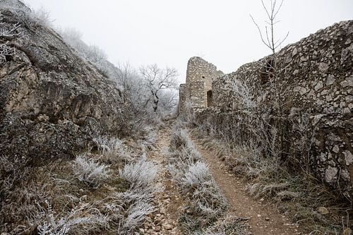 Staatzer Berg mystisch