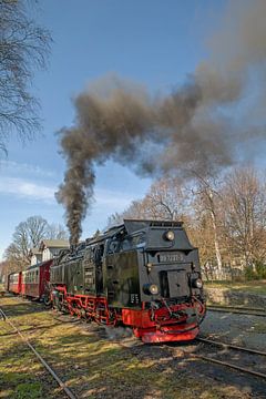 De Selketalbahn bij station Hasselfelde van t.ART