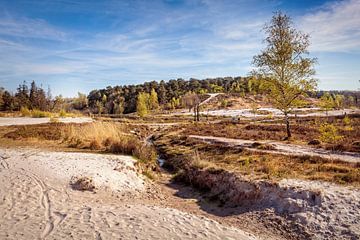 Roode Beek @ Brunssummerheide von Rob Boon