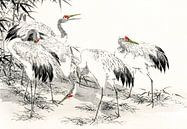 Japan cranes in front of bamboo landscape by Mad Dog Art thumbnail