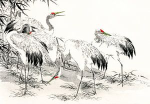 Japan Kraniche vor Bambus Landschaft