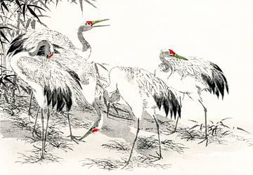 Japan cranes in front of bamboo landscape by Mad Dog Art