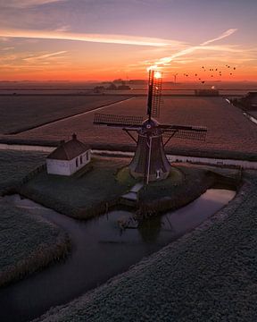 Sonnenaufgang bei der Mühle im Polder von Ewold Kooistra
