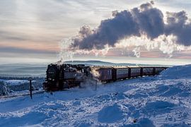 Harzer Schmalspurbahn von Patrice von Collani