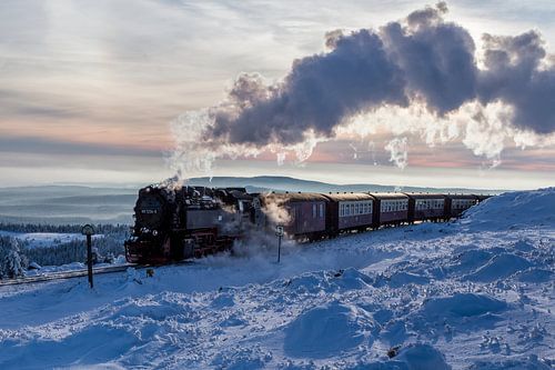 Harz narrow gauge railway by Patrice von Collani