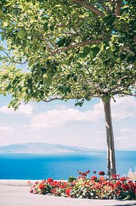 Baum und das Meer von Patrycja Polechonska