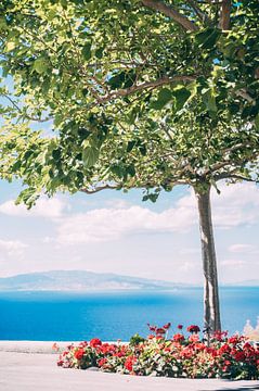 Tree and the Sea by Patrycja Polechonska