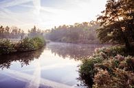 Twiske mit Wasser und Nebel von Jaap Mulder Miniaturansicht