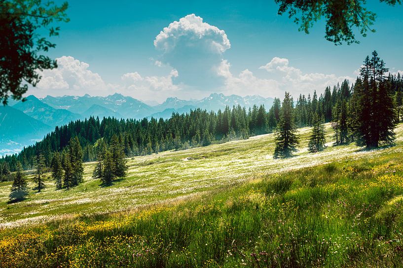 Weiden en bossen in de Allgäu van Thomas Heitz