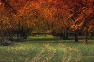 herfstkleuren van Yvonne Blokland