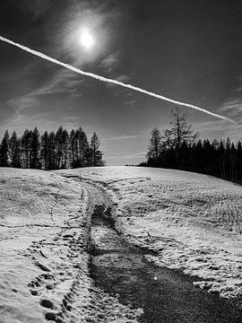 The Path - Landscape