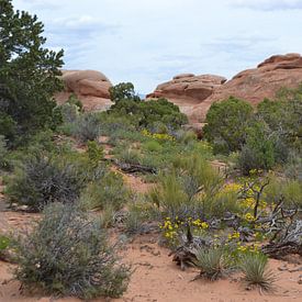 Parc national des Arches, sur Bernard van Zwol