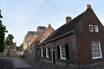 Cow Street Oirschot