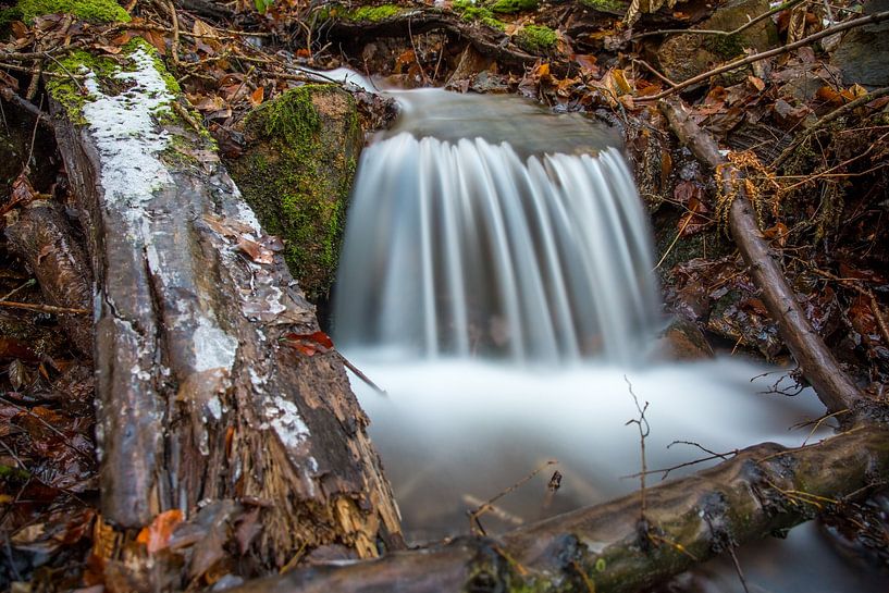 Wilde Waldfluss von Sergej Nickel
