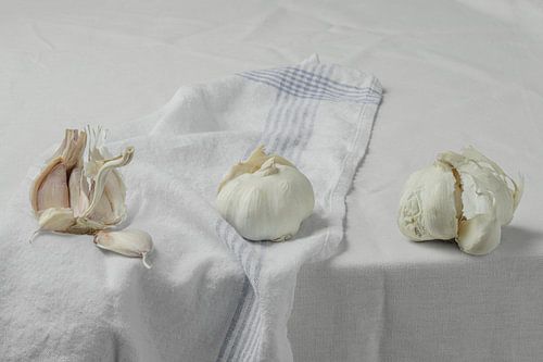 Stilleben 'Knoblauch