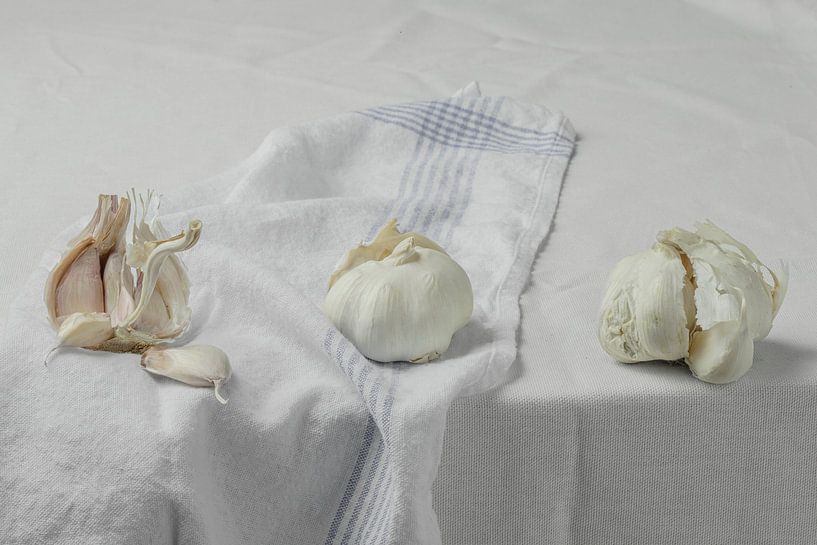 Stilleben 'Knoblauch von Willy Sengers