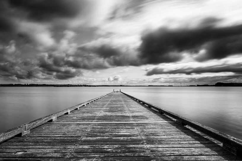 Holländische Landschaft in Schwarz / Weiß, Huizen, Gooimeer von Mark de Weger