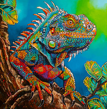 Caribische Kameleon