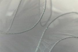 Transparent silence - composition of light and line by Mixed media vector arts