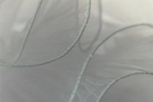 Silence transparent - composition de lumière et de ligne