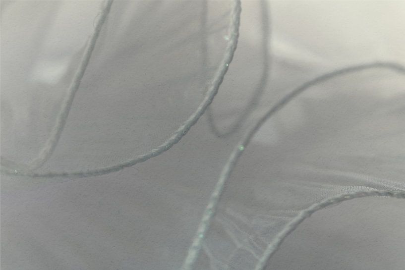 Transparente Stille – Komposition aus Licht und Linie von Mixed media vector arts