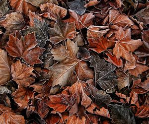When autumn meets winter..