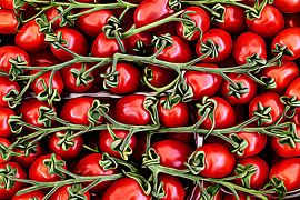 Tomaten 2.0 ART Comic von Ingo Laue