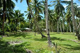 Idyllische Hütte umgeben von tropischen Palmen von Frank Photos