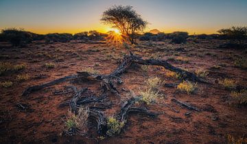 A taste of Africa_H by Loris Photography
