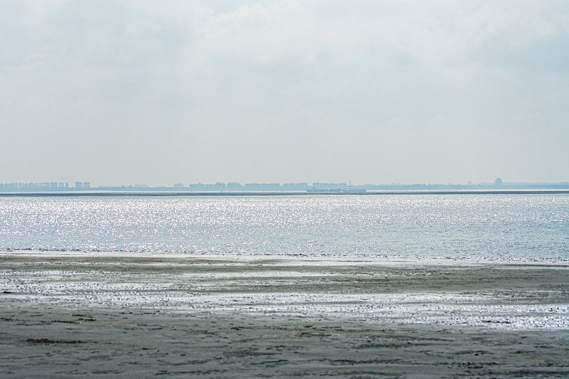Der Schlammstrand von Niek Traas