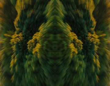 Kaleidosquare-Bäume von Marcel Kerdijk