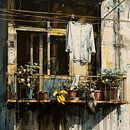 City Balcony Everyday life Clothesline Bananas Shoes Plants by gm_designs thumbnail