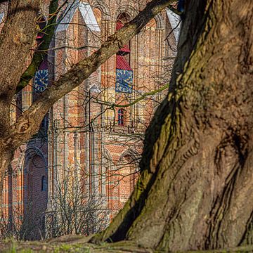 De Leeuwarder Oldehove tussen de bomen door van Harrie Muis