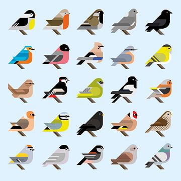 Grafische vogels - 25 Nederlandse tuinvogels in stijl (blauwe editie) van Tim de Leeuw