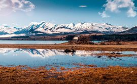 Church of the good Shepard