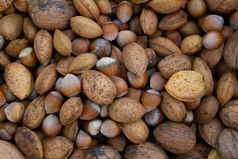 Noix par Arjan van den Berg