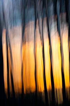 The silent witnesses of light (11 of 10) by Linda Hutten