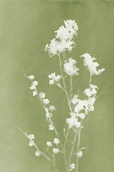 Monographie Grüne Blumen