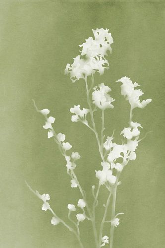 Monographie Grüne Blumen